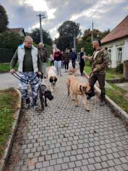 socializace psů 4 - starý web